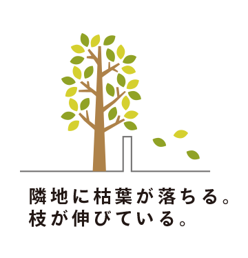 隣地に枯葉が落ちる。枝が伸びている。