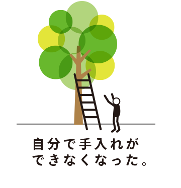 自分で手入れができなくなった。