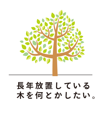 長年報知している木を何とかしたい。